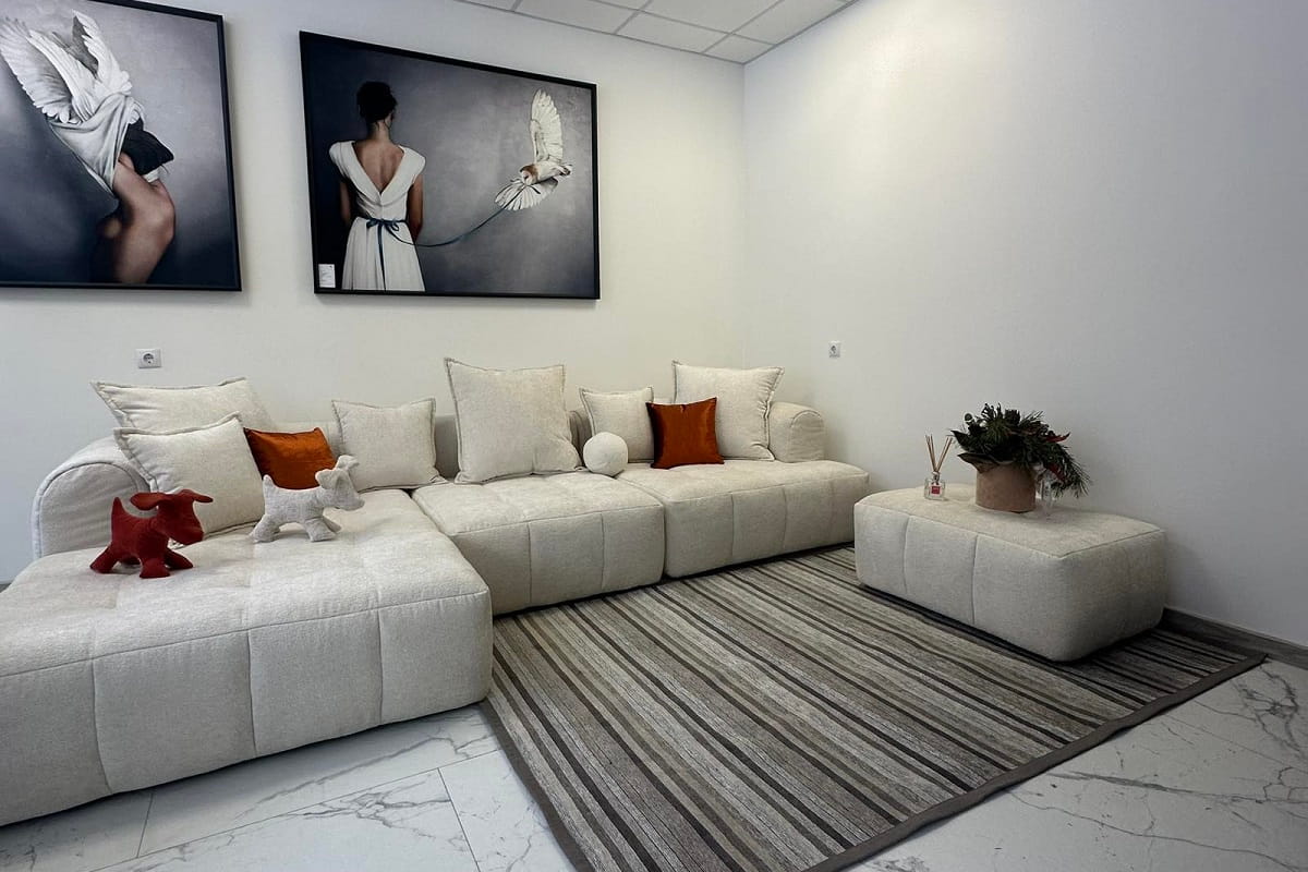 Інтер’єр салону ZlataMebel у Ромнах, сучасні дивани